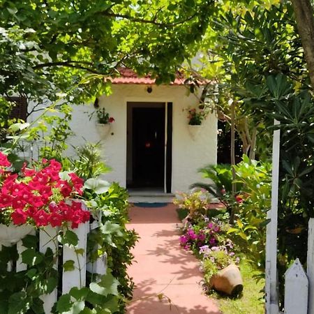 La Corte Delle Rose B&B プラーイア・ア・マーレ エクステリア 写真