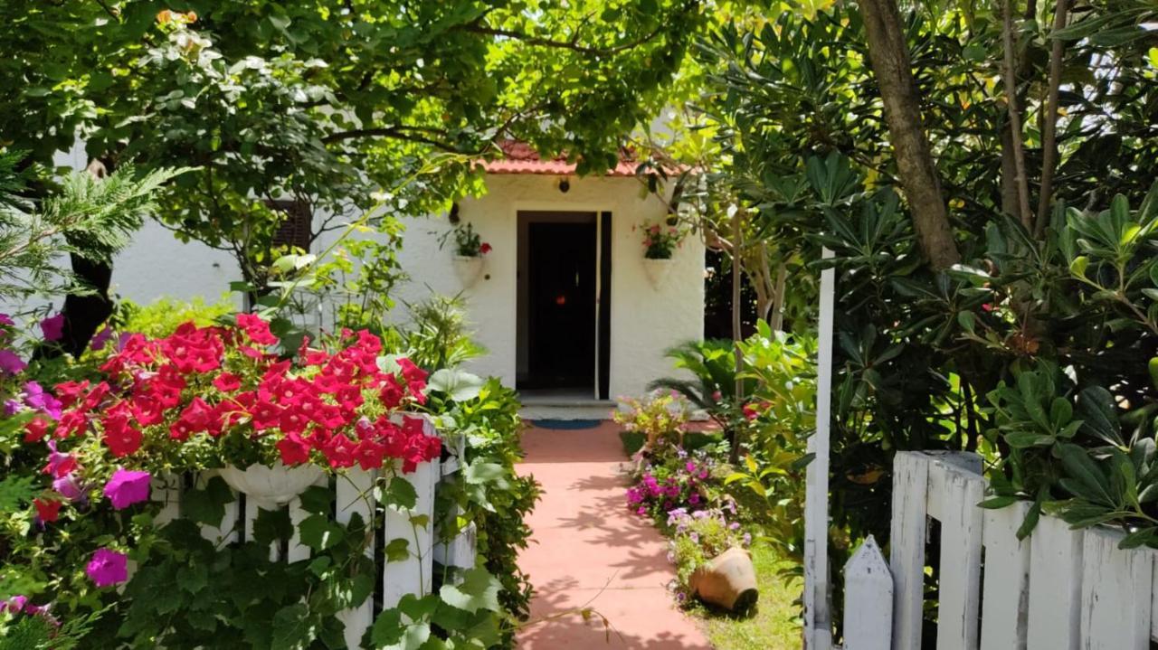 La Corte Delle Rose B&B プラーイア・ア・マーレ エクステリア 写真